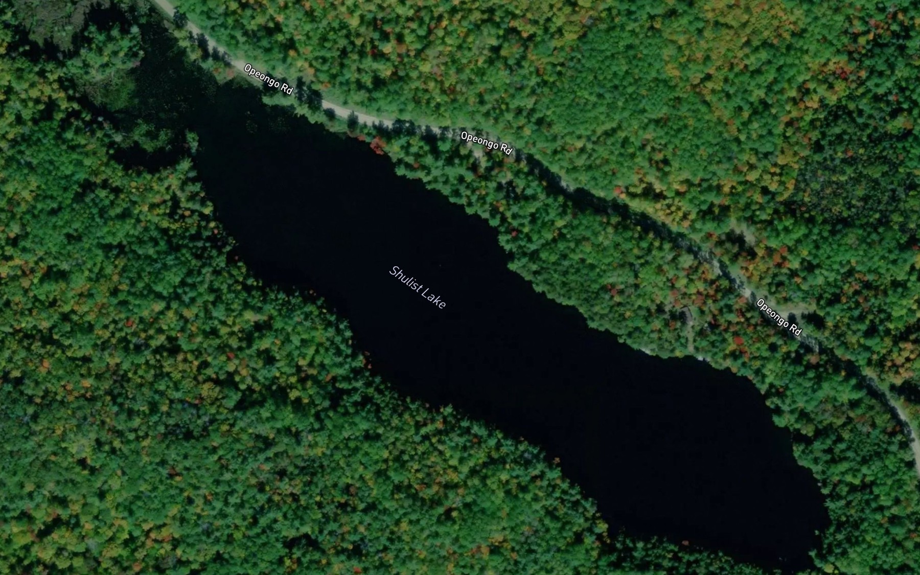 Satellite map of the Shulist Lake
