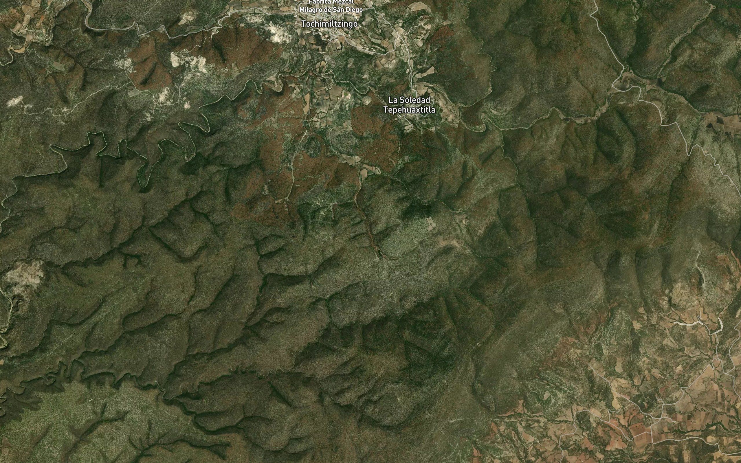 Barranca El Estafiate