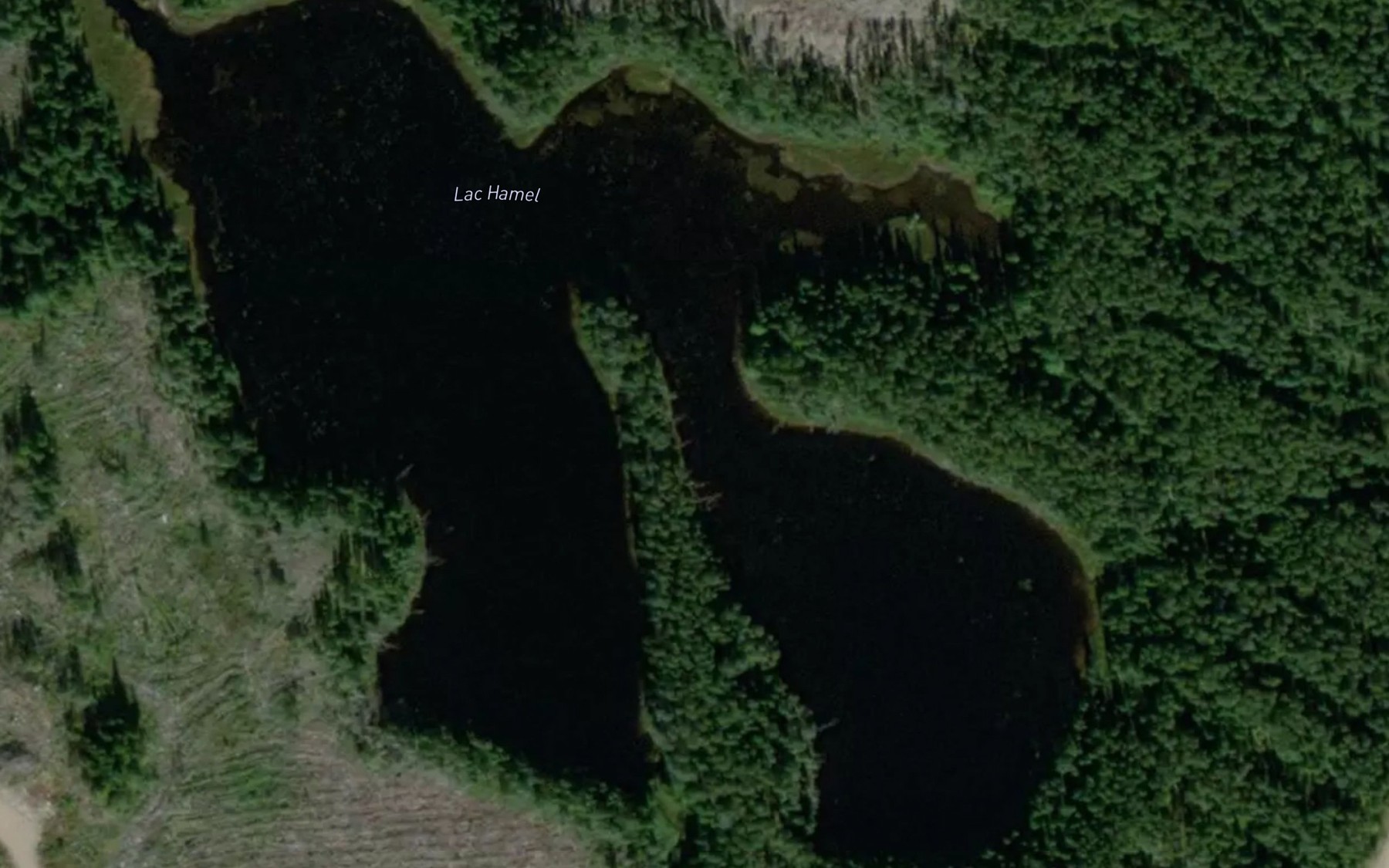 Satellite map of the Lac Hamel