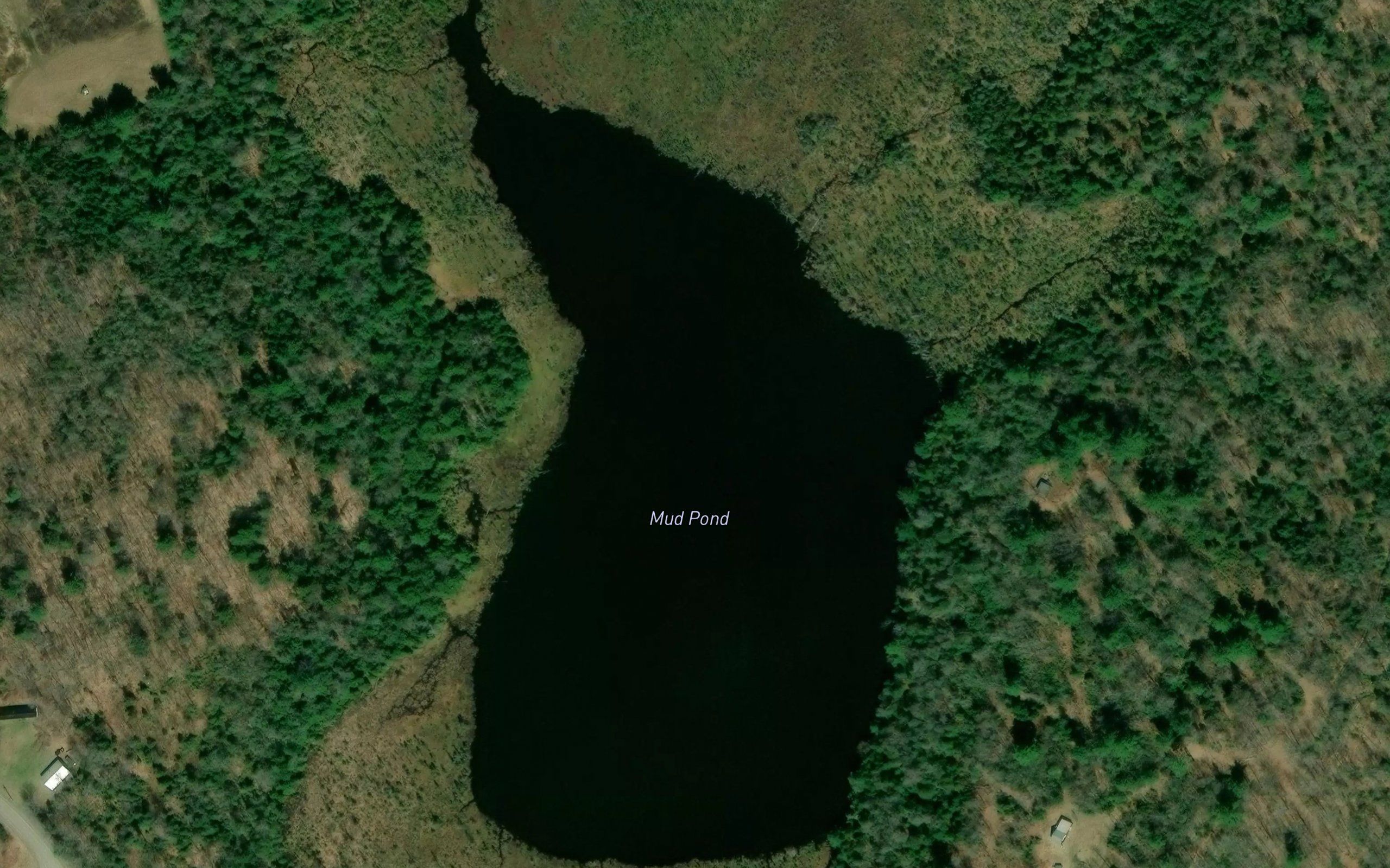 Mud Pond