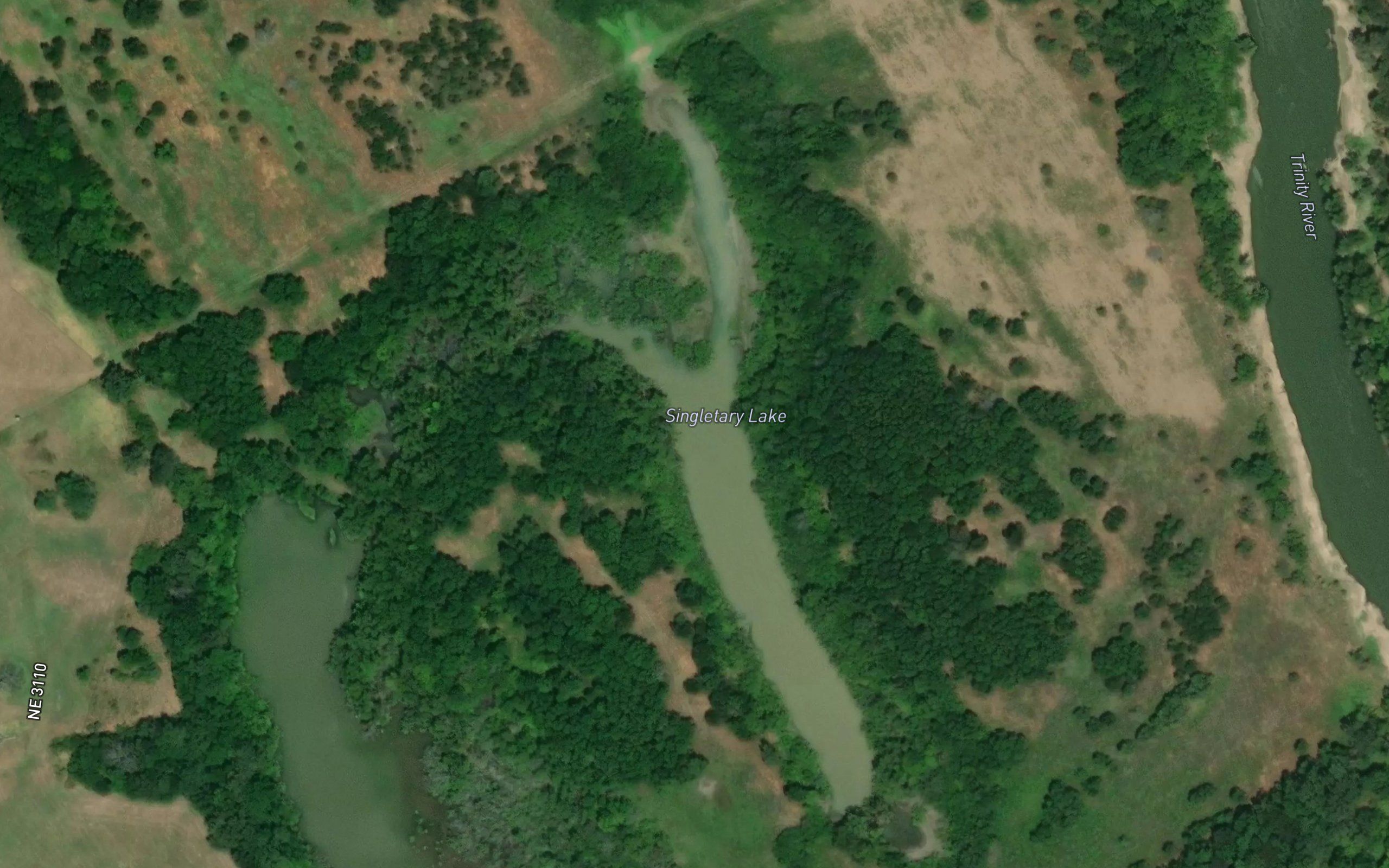 Singletary Lake
