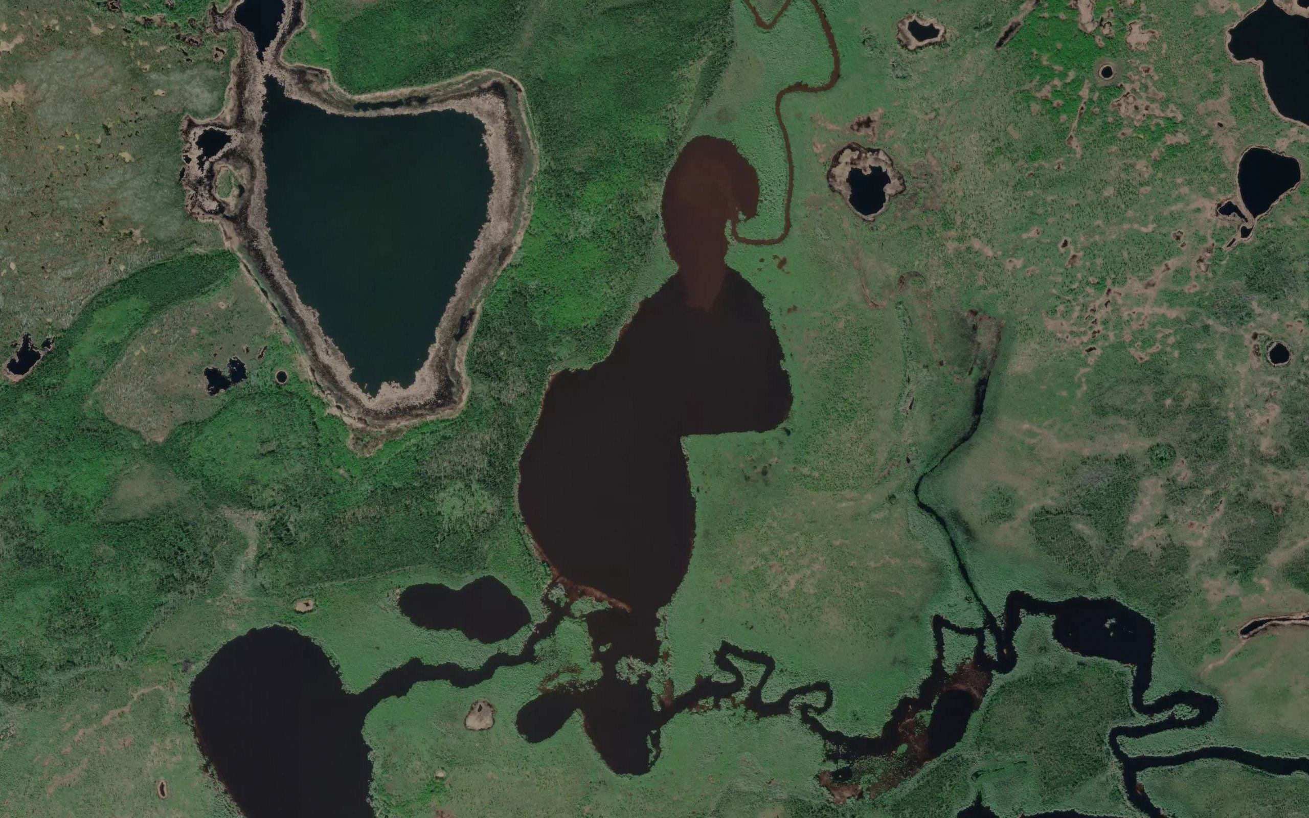 Geese Lake