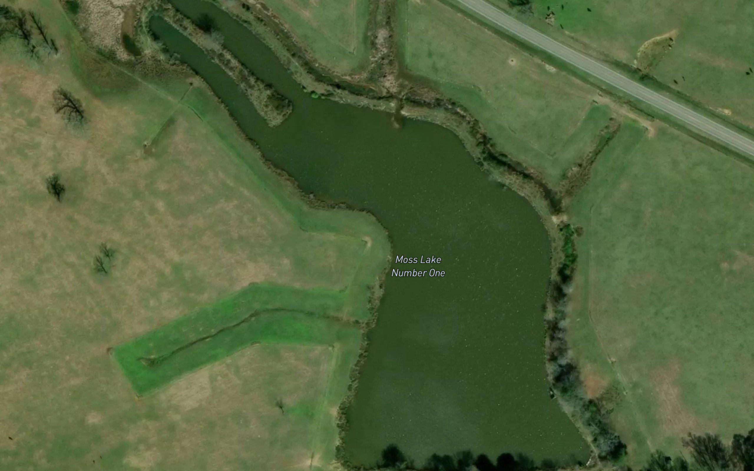 Moss Lake Number One