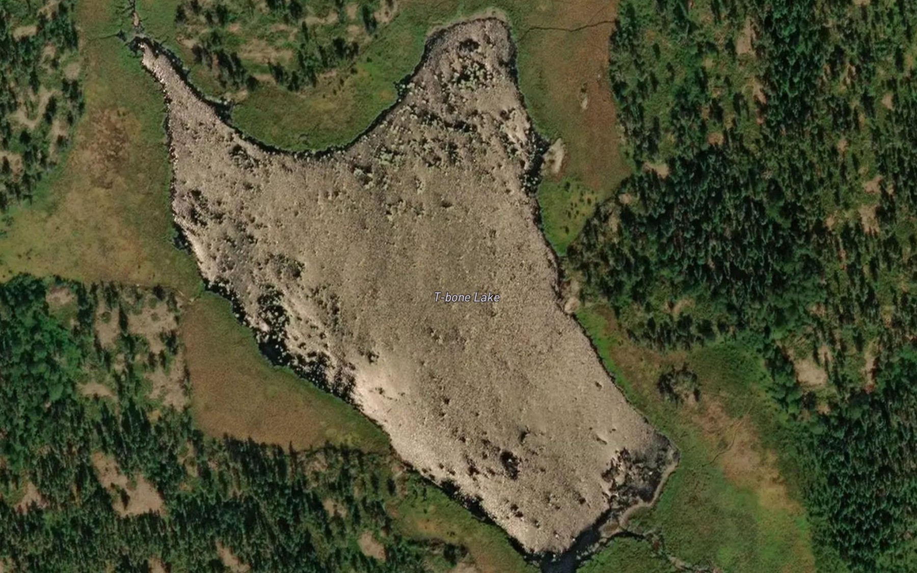 Satellite map of the T-bone Lake