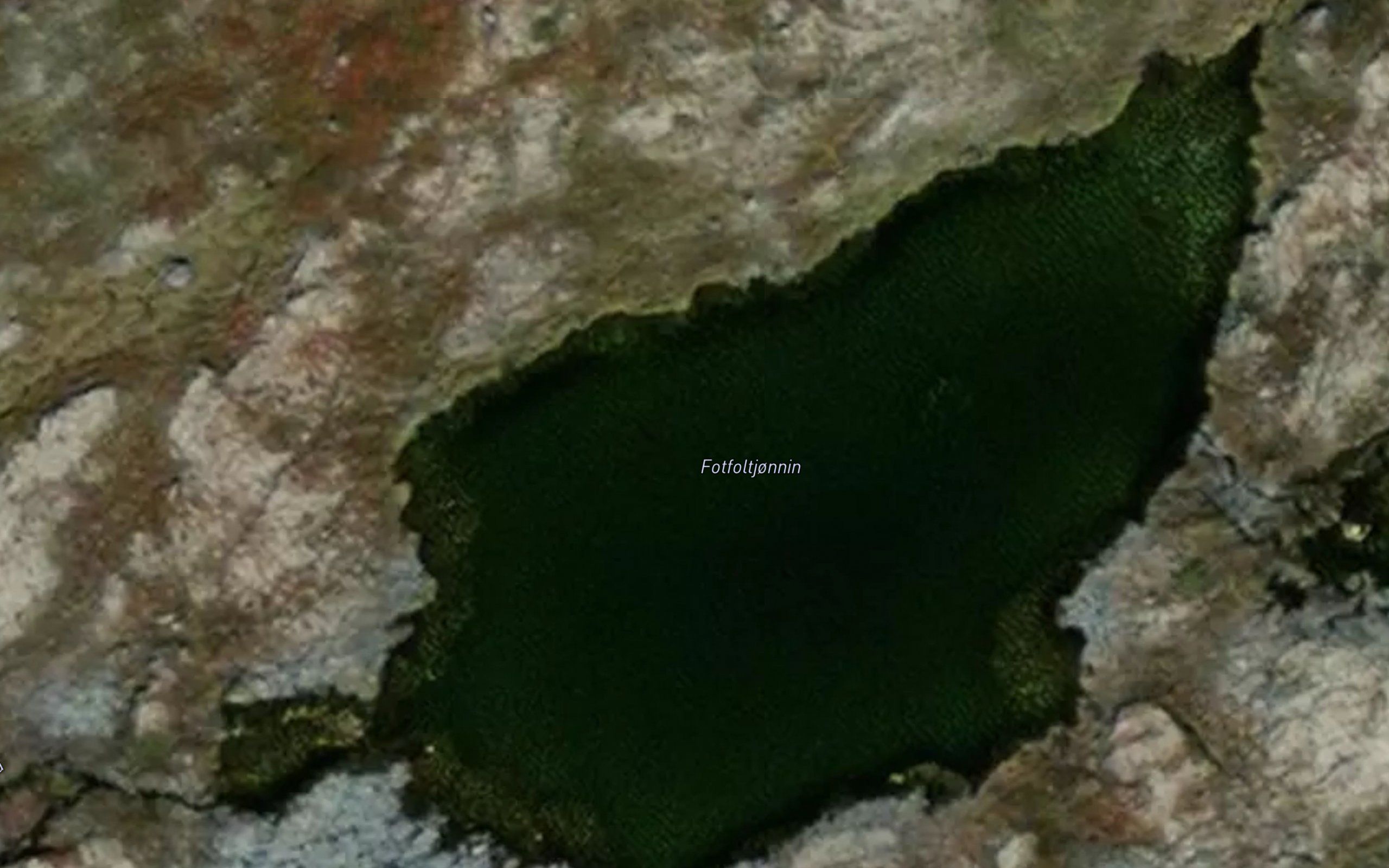 Fotfoltjornane
