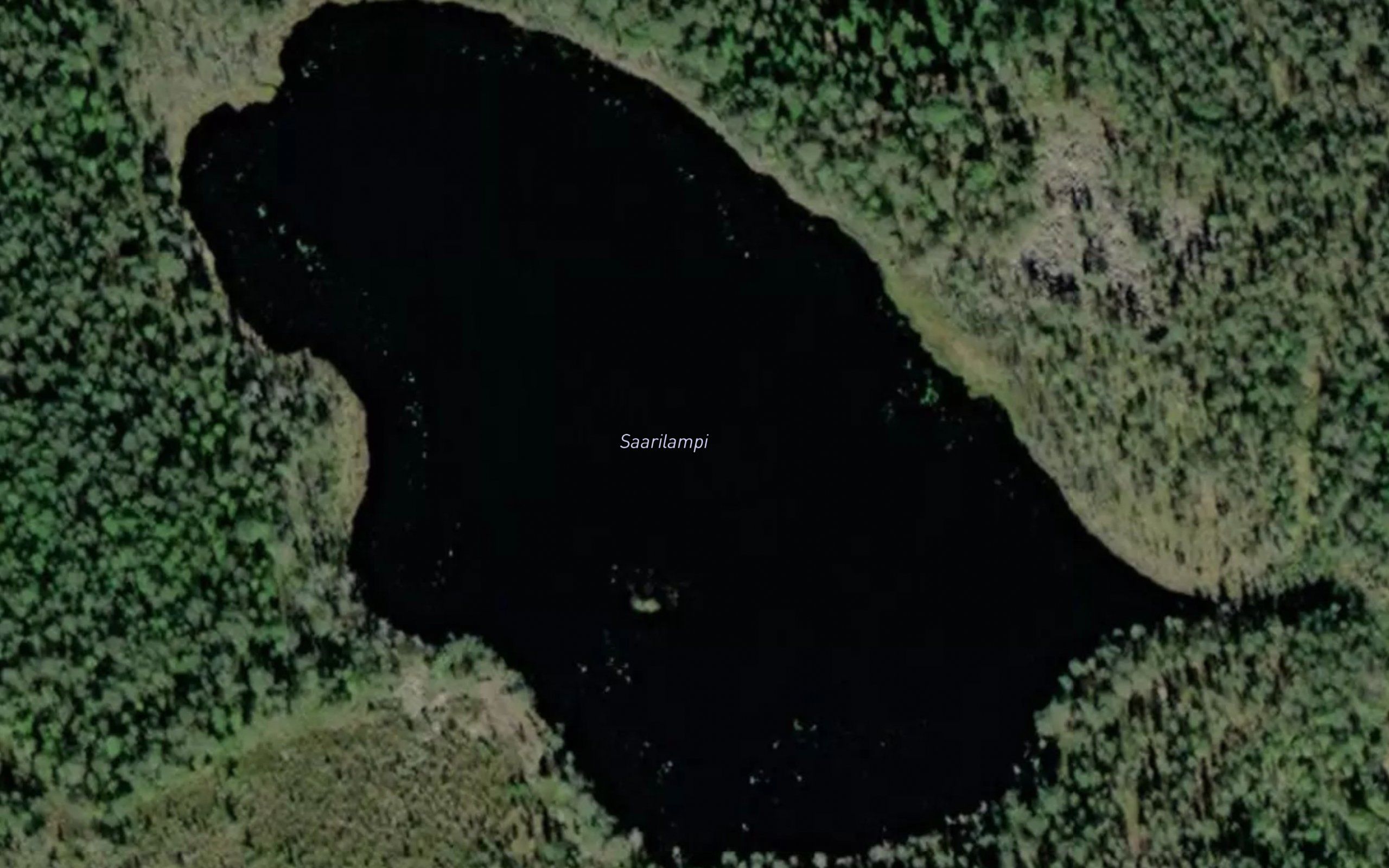 Saarilampi