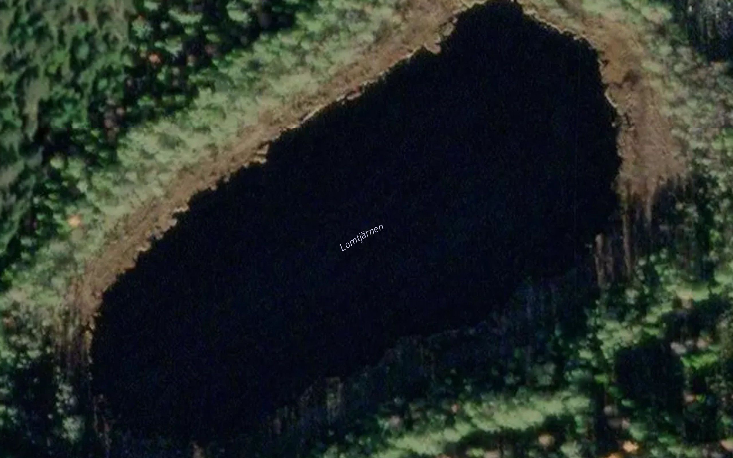 Lomtjaernen