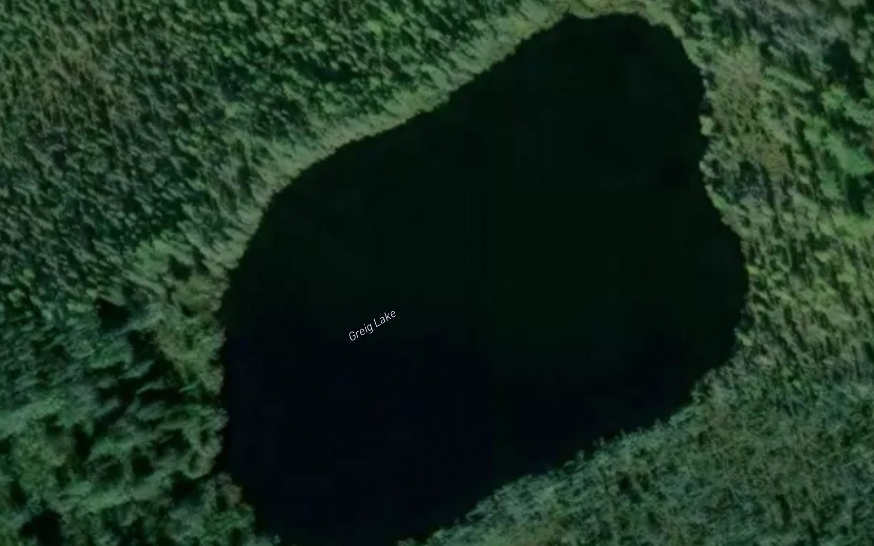 Satellite map of the Greig Lake