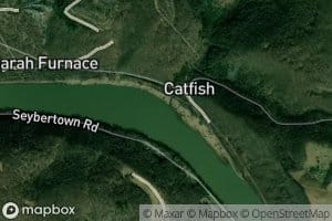 Catfish Run