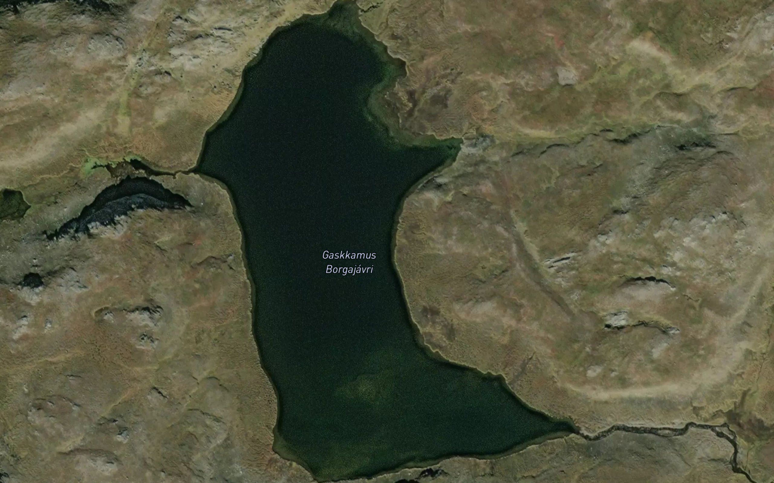 Gaskkamus Borgajavri