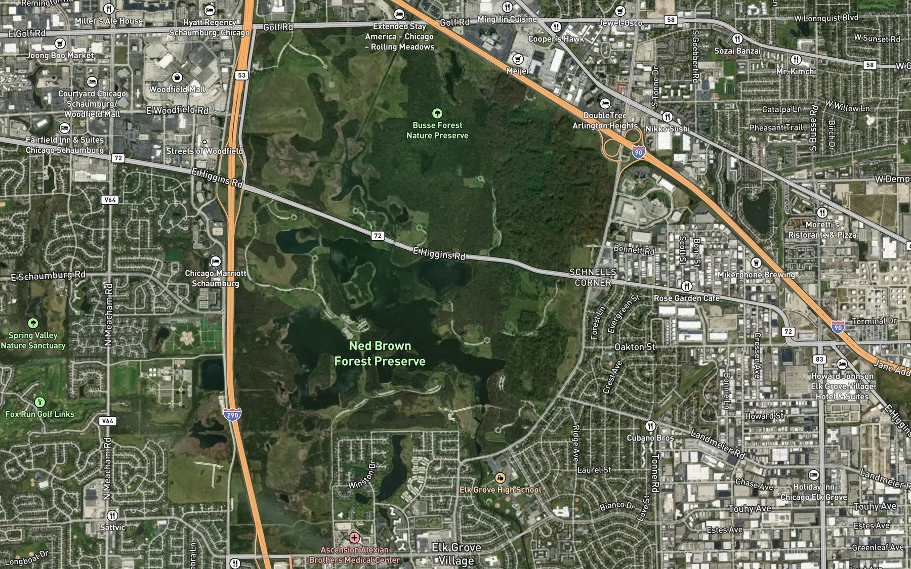 Satellite map of the Main Pool