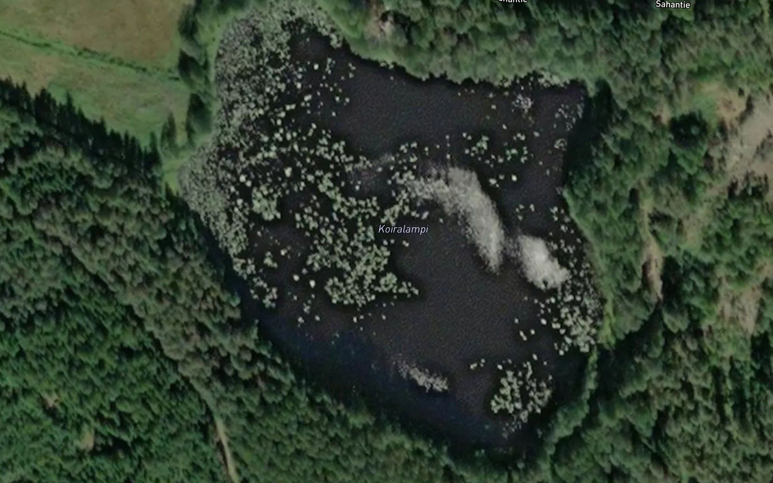 Koiralampi