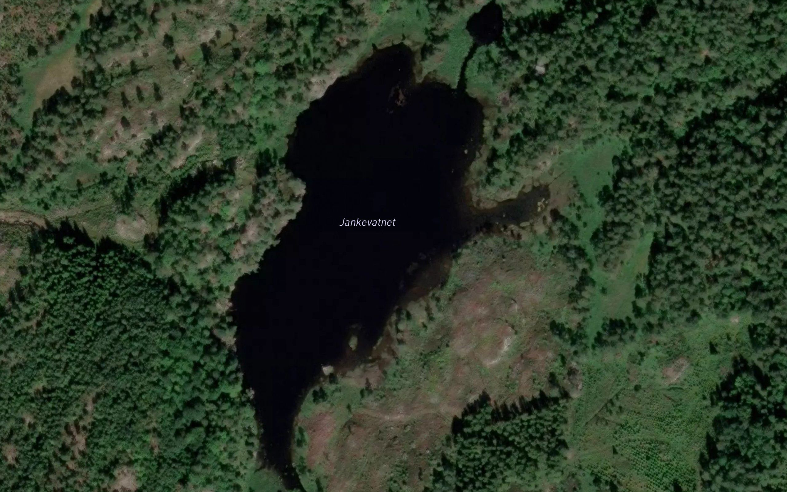 Jankevatnet
