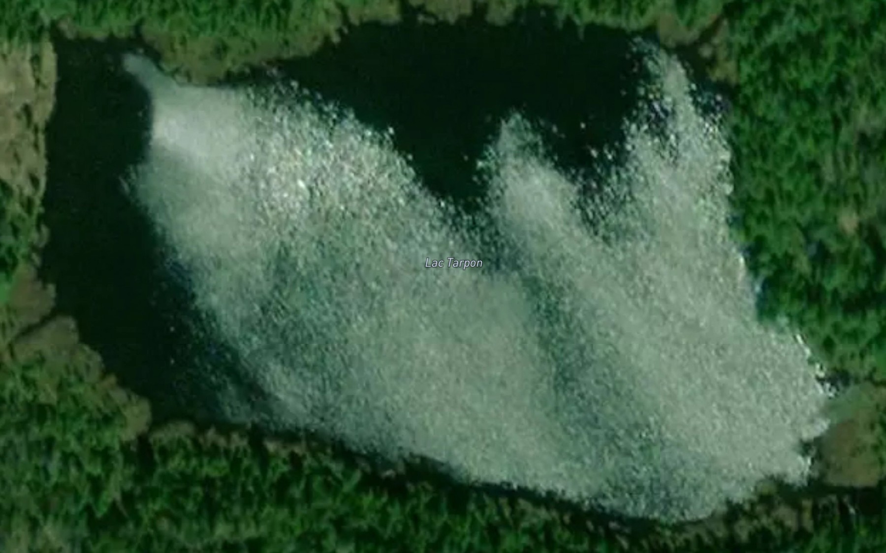 Satellite map of the Lac Tarpon