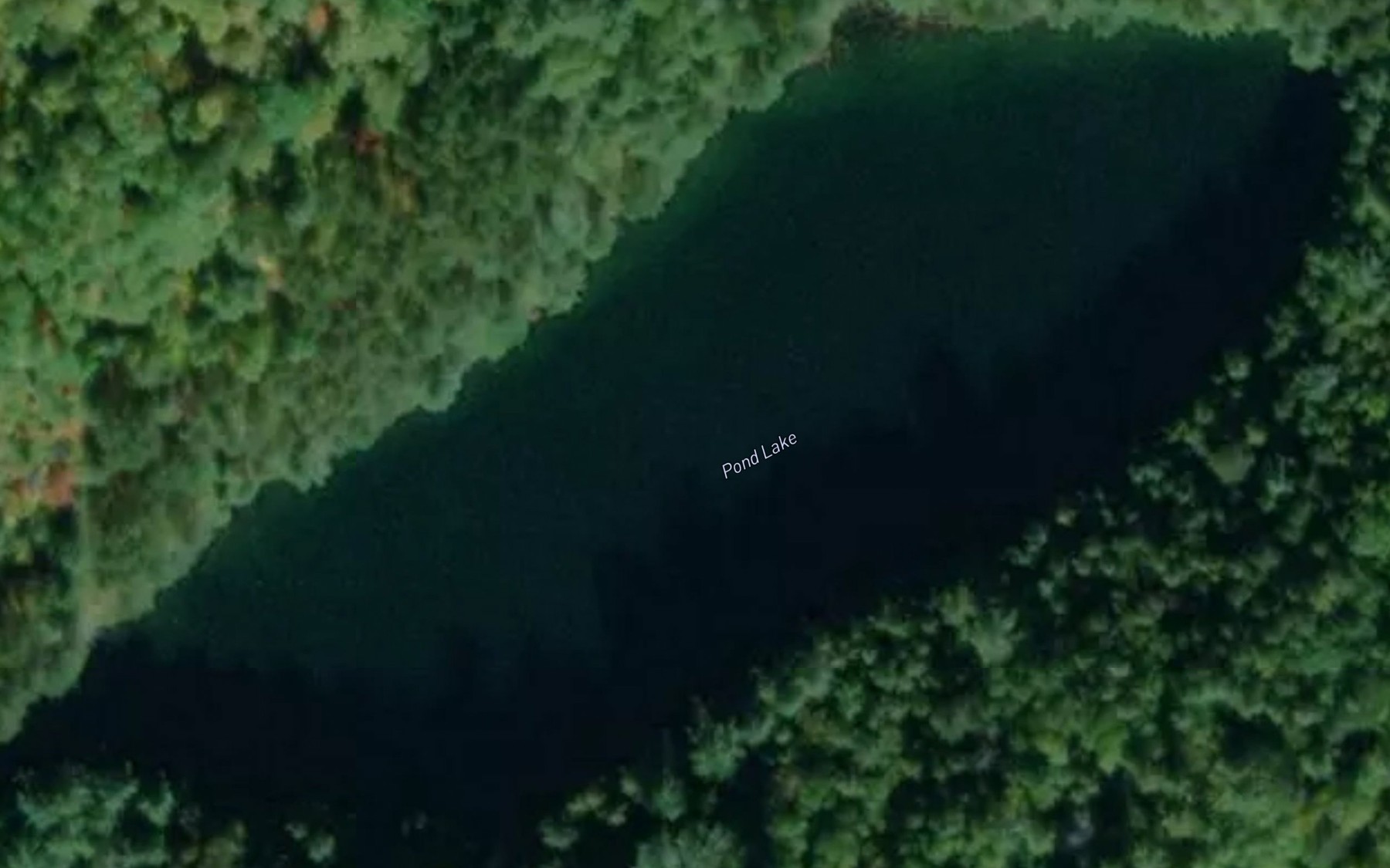 Satellite map of the Pond Lake