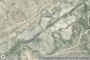 Bottle Creek Slough