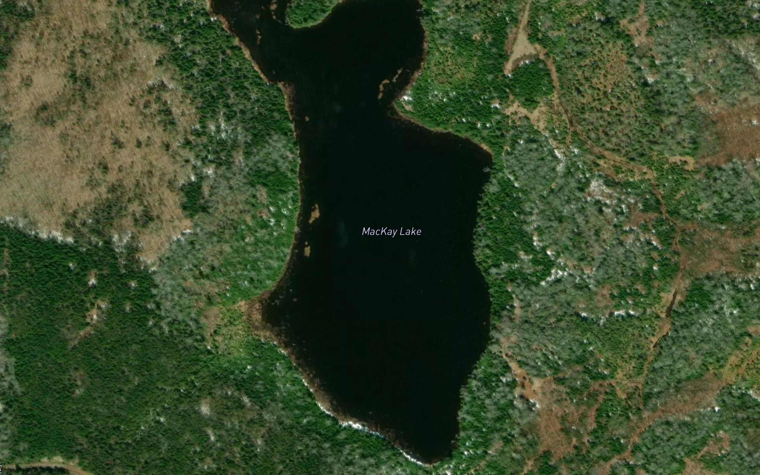 MacKay Lake