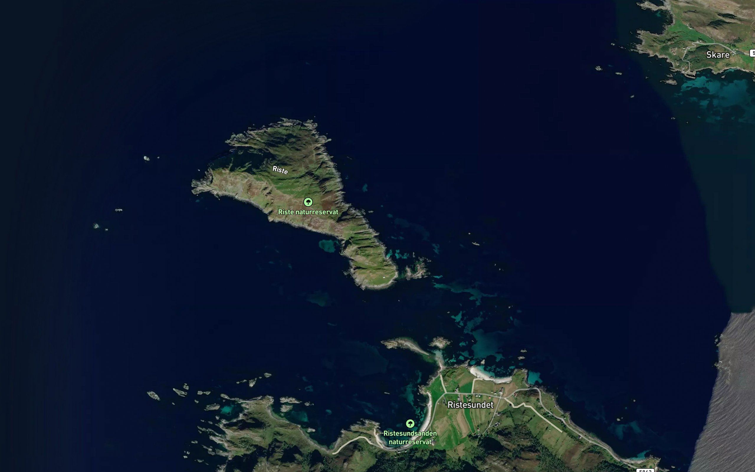 Hoyvika