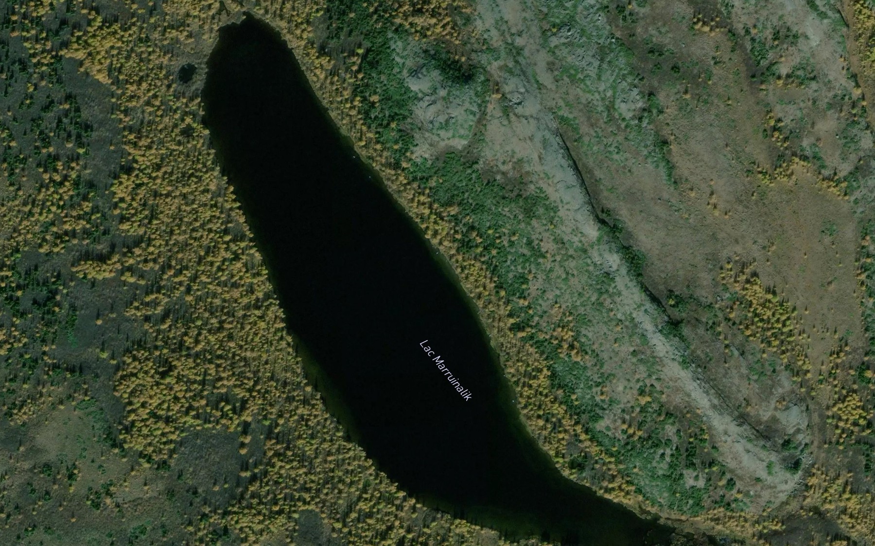 Satellite map of the Lac Marruinalik