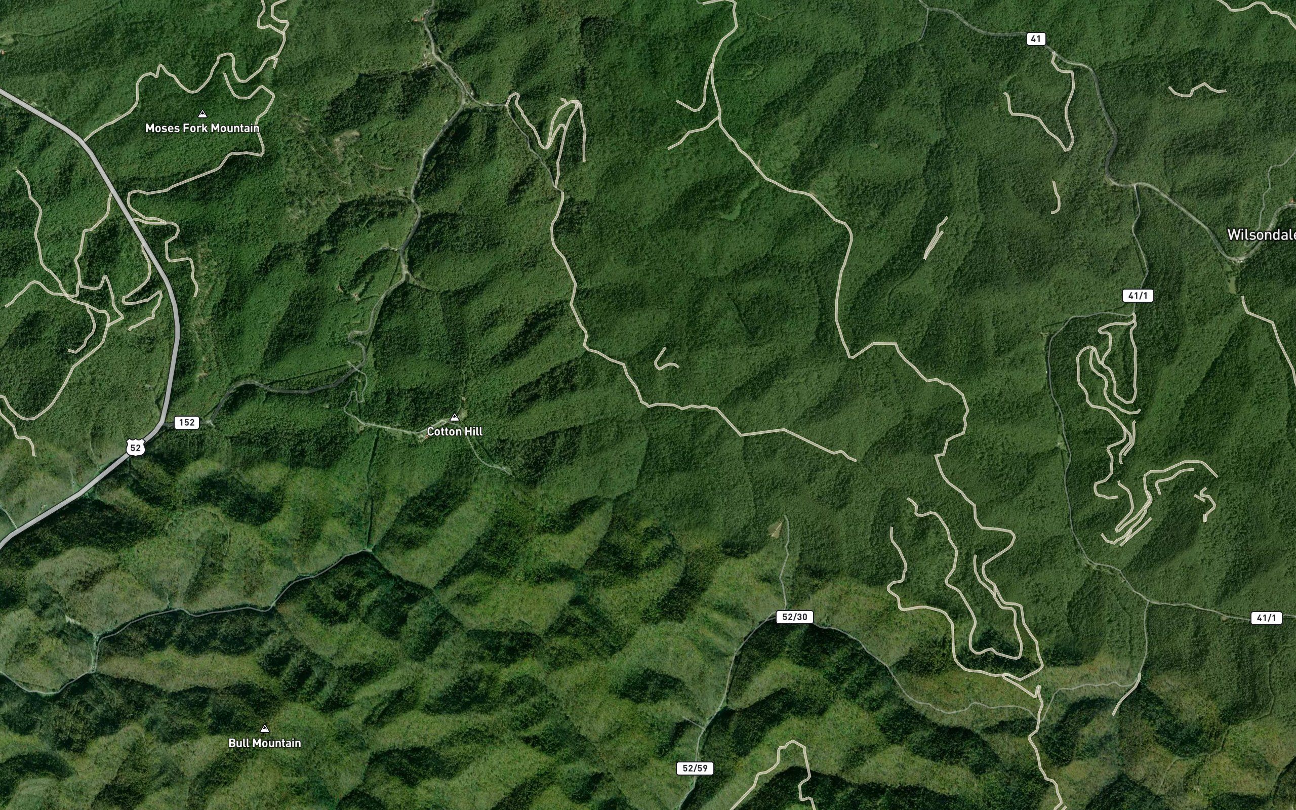 Laurel Branch