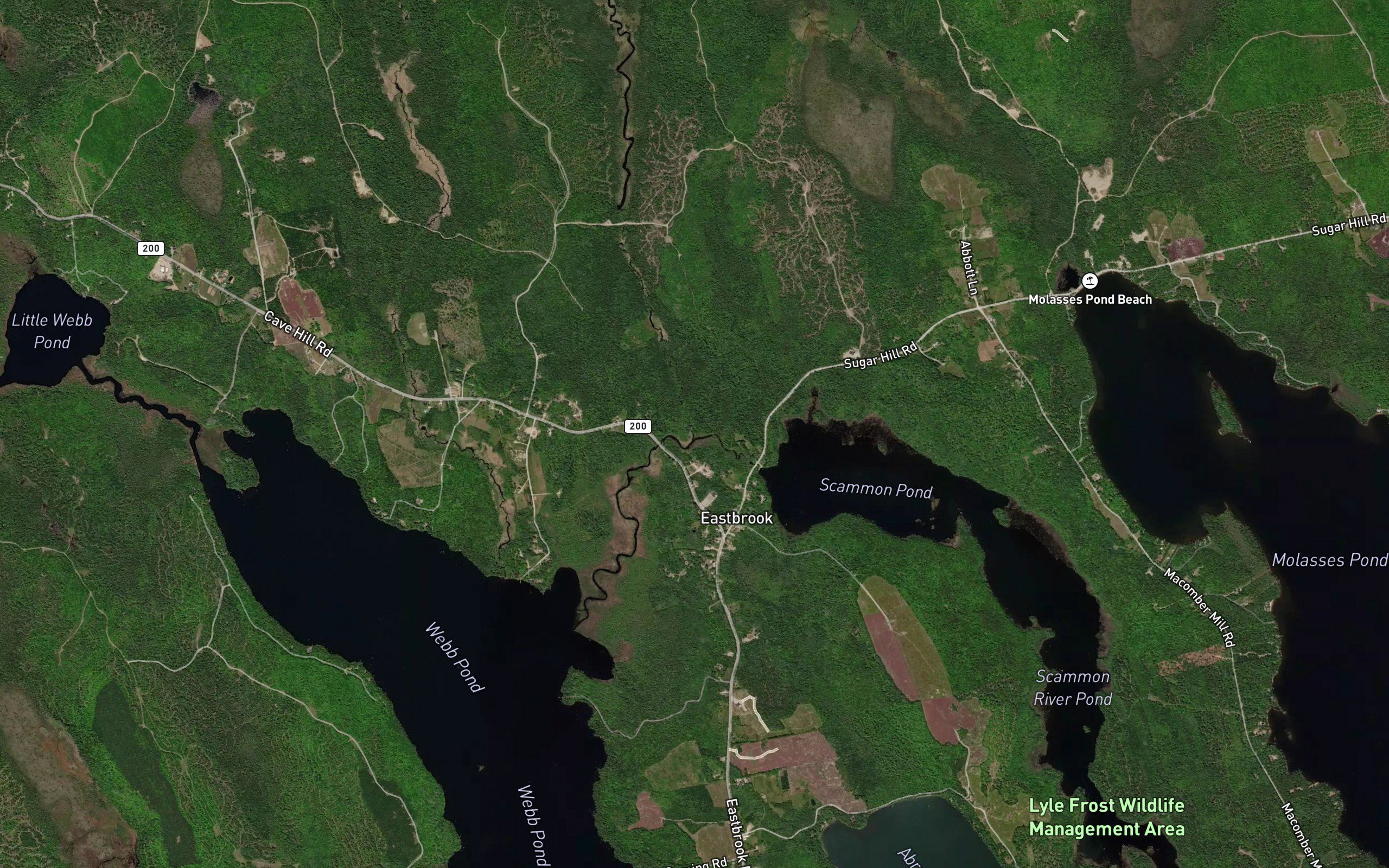Little Bog River