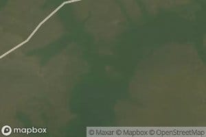 Nzium