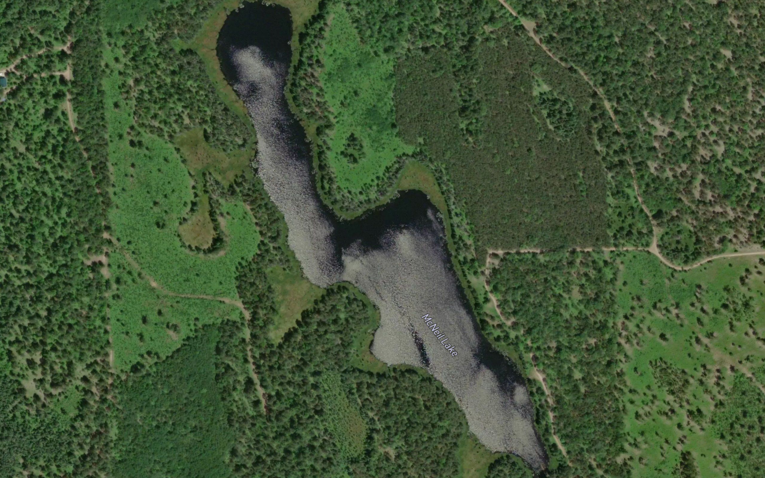 McNeil Lake