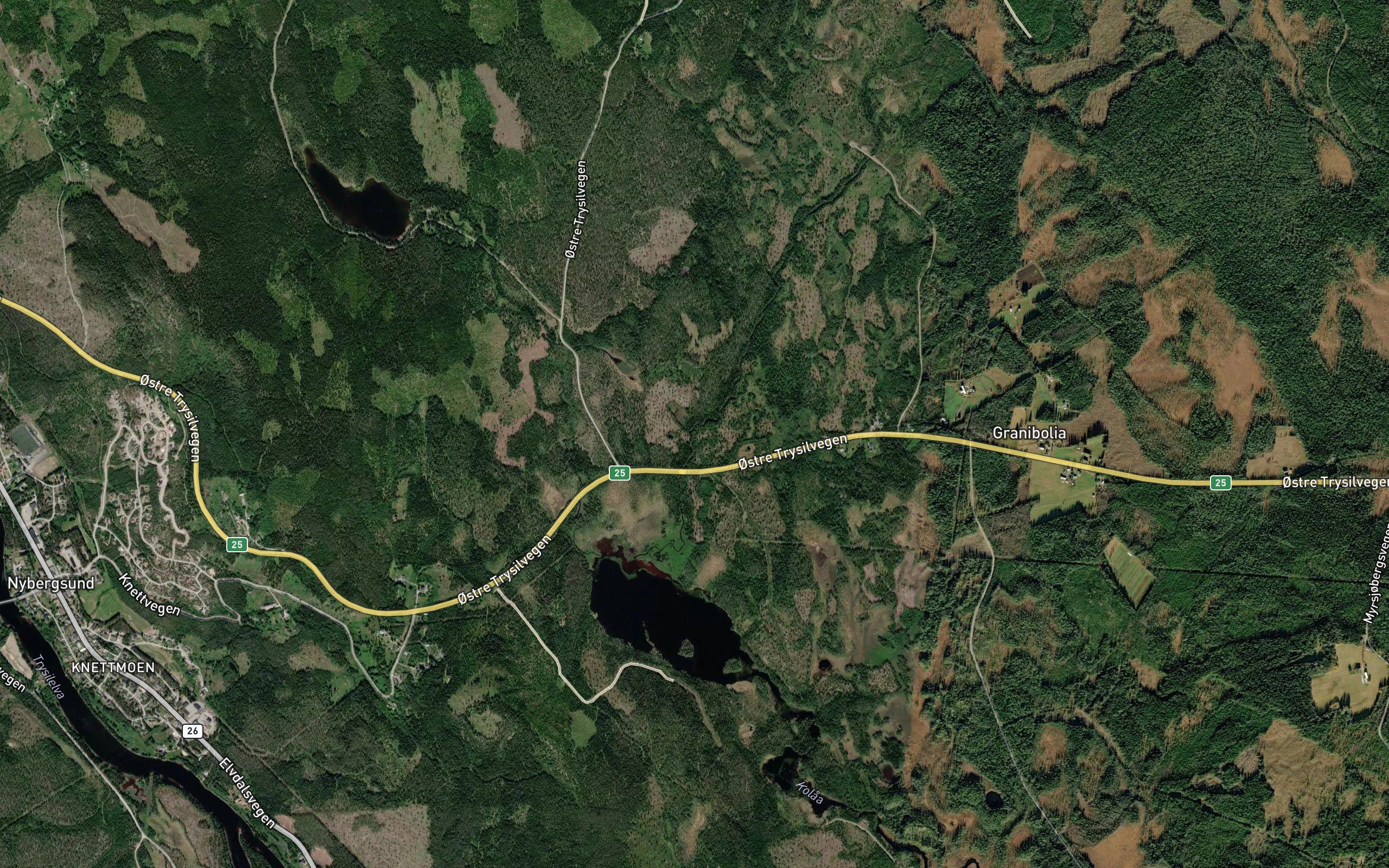 Skjaerloken
