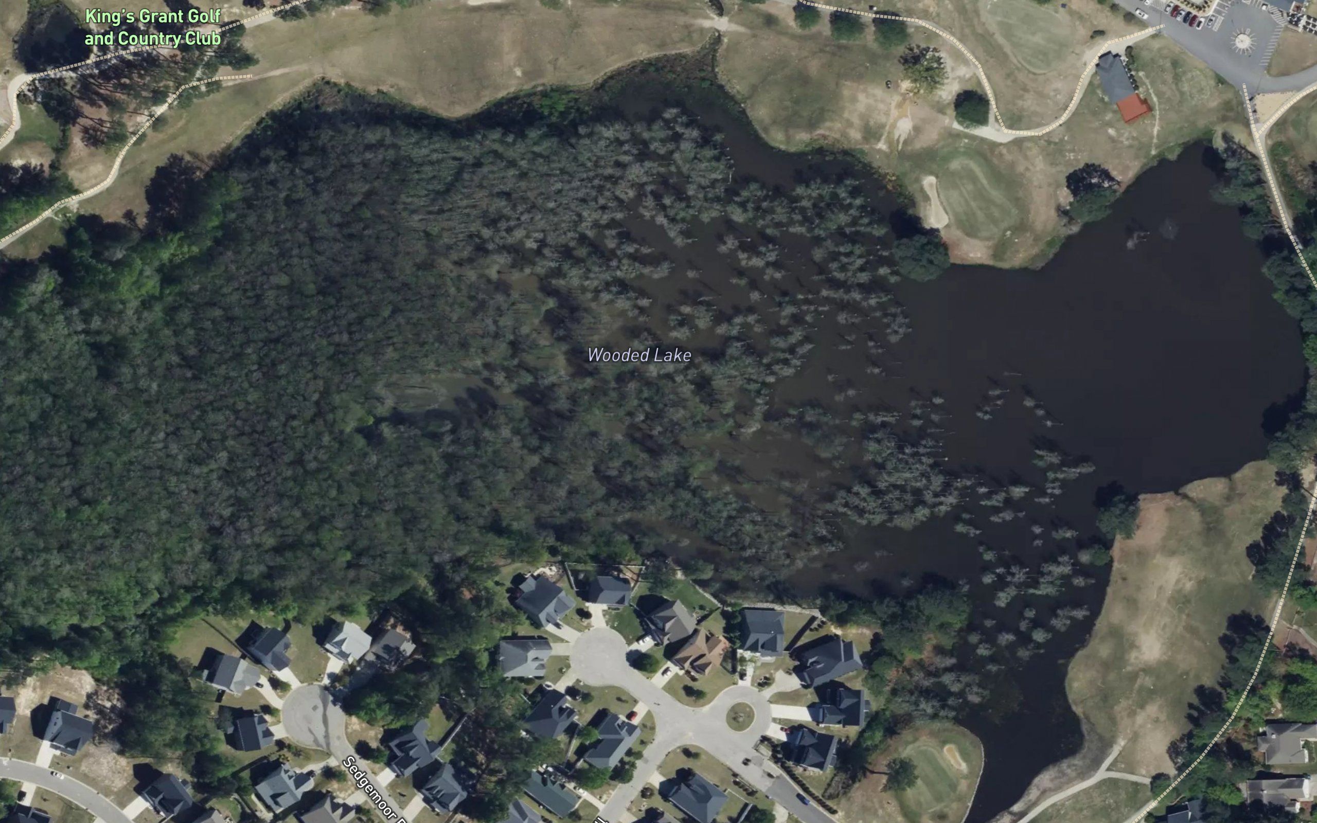 Wooded Lake
