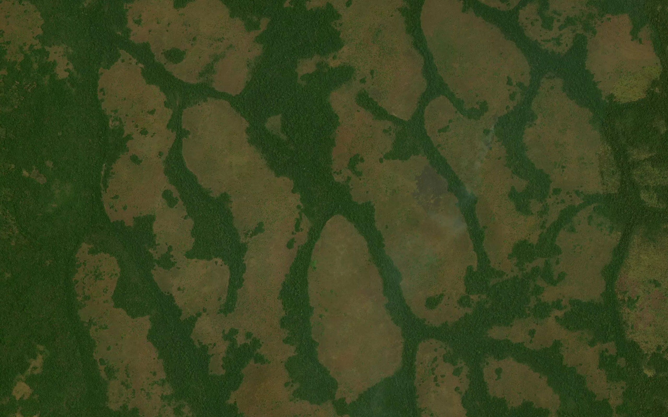 Nangunga