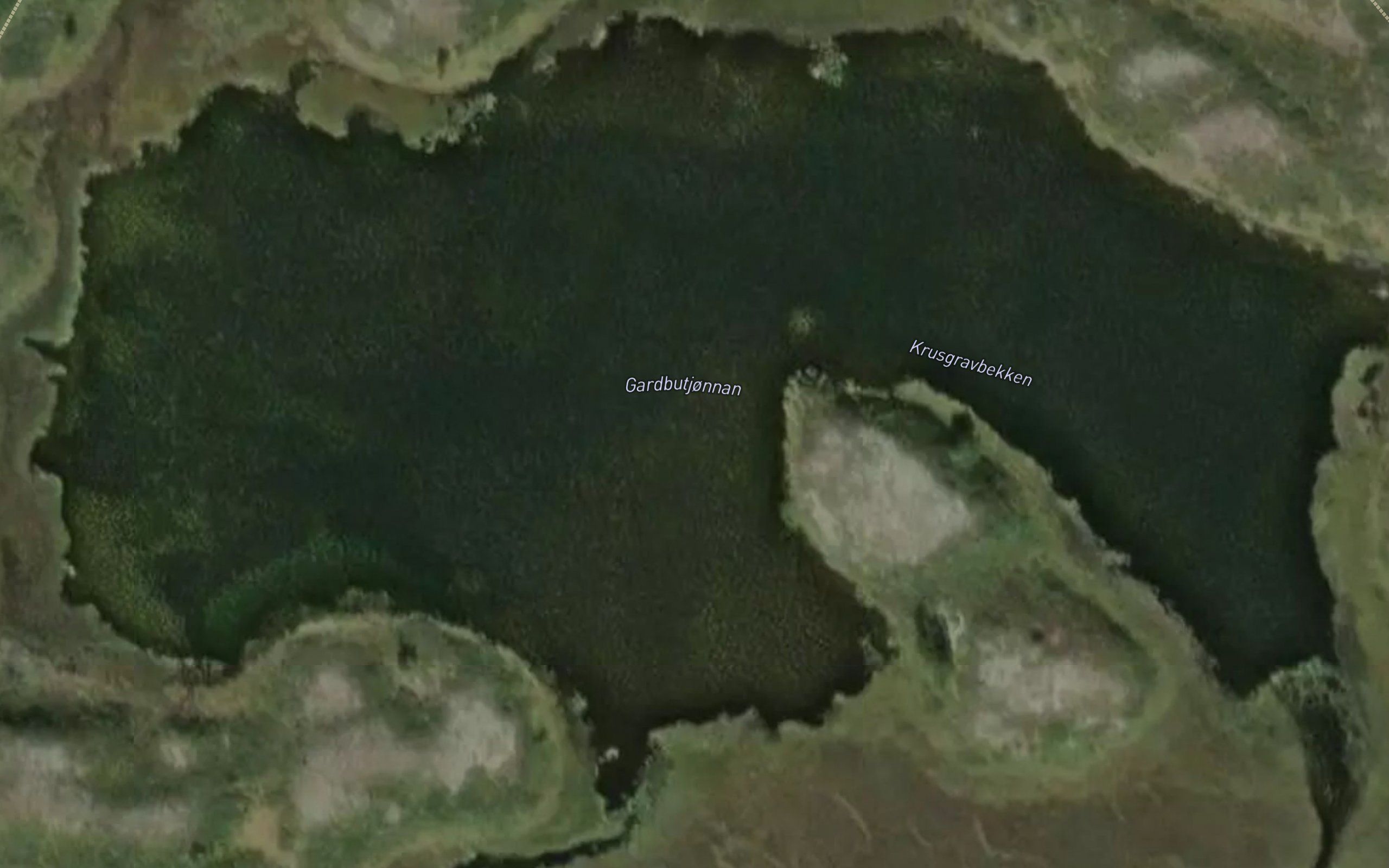 Galbutjorna