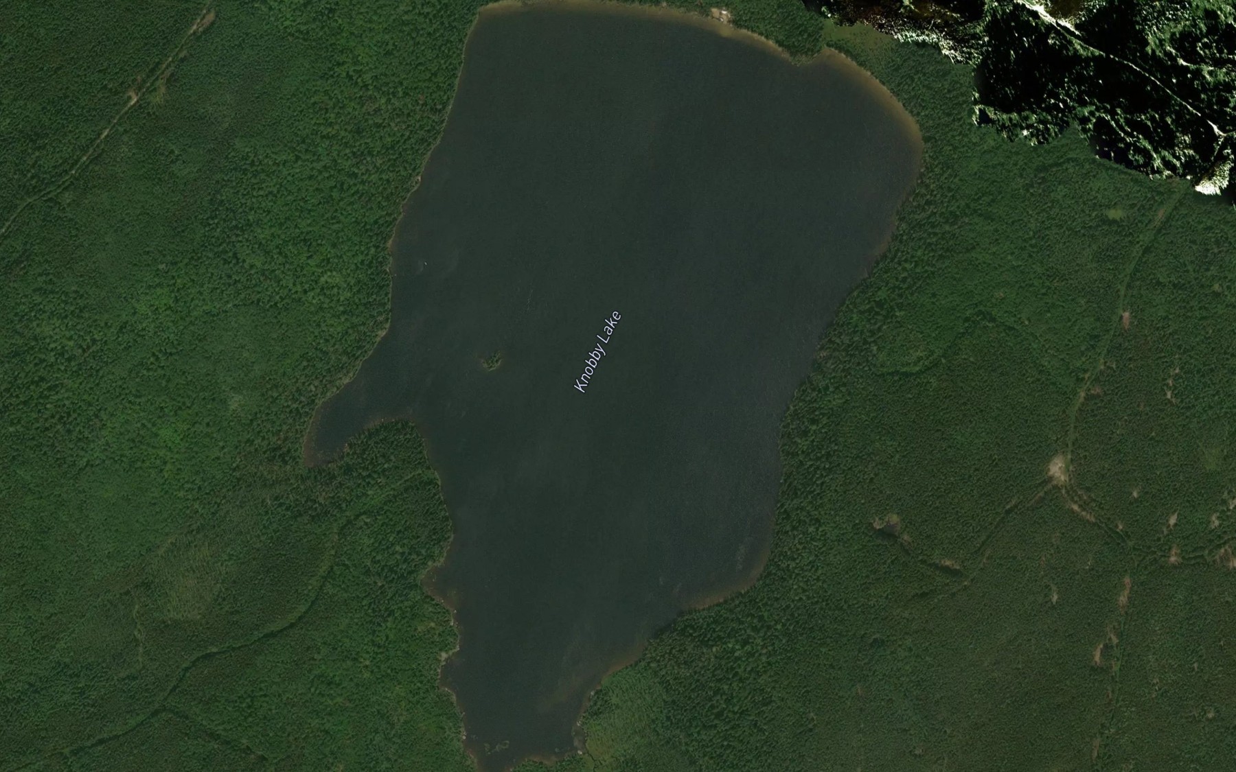 Satellite map of the Knobby Lake