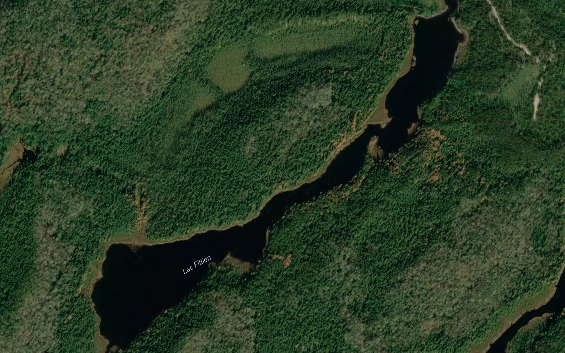 Satellite map of the Lac Fillion