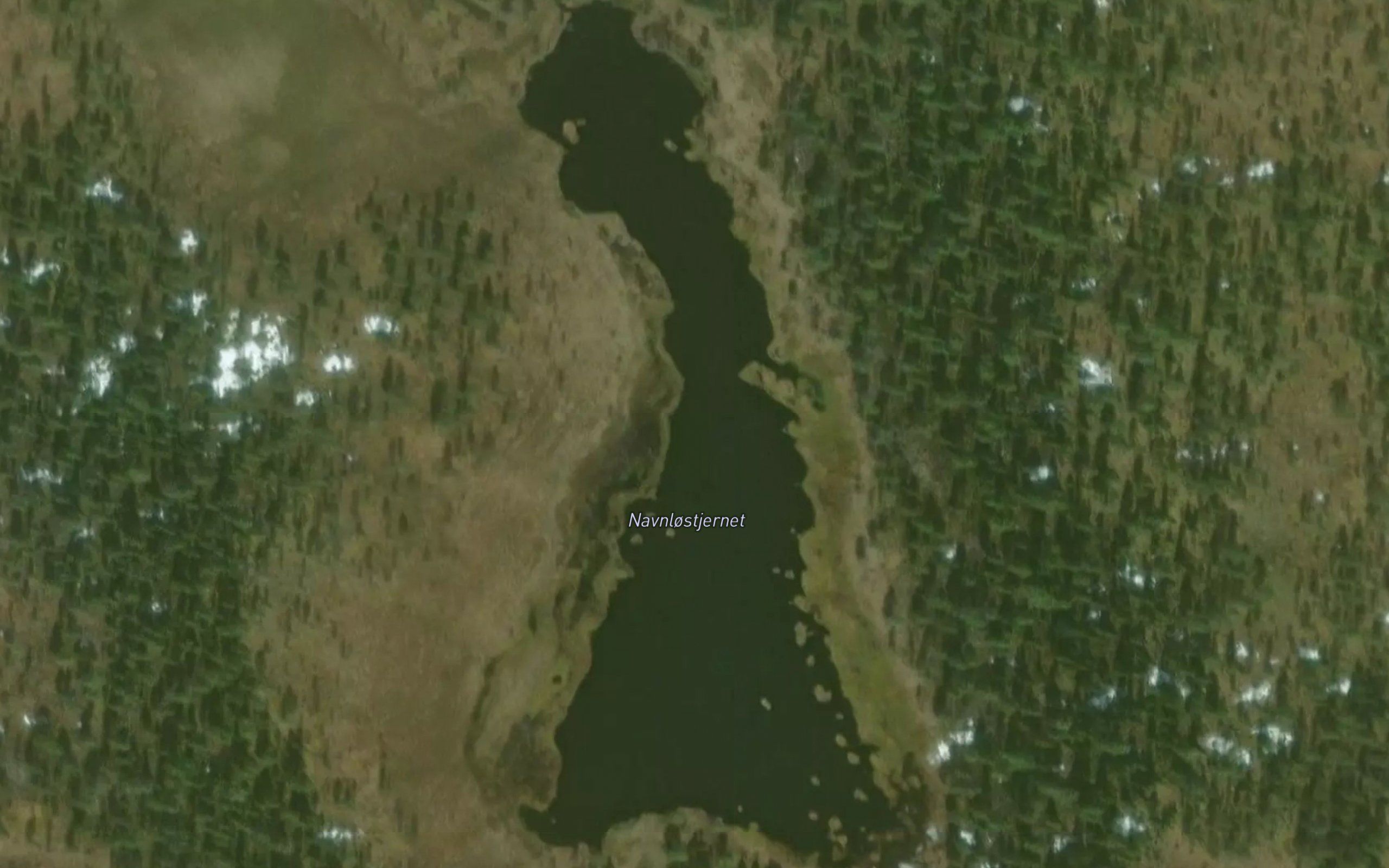 Navnlostjernet