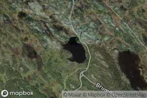 Dalstolstjernet