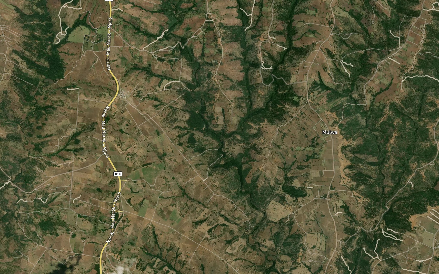 Satellite map of the Enambadad