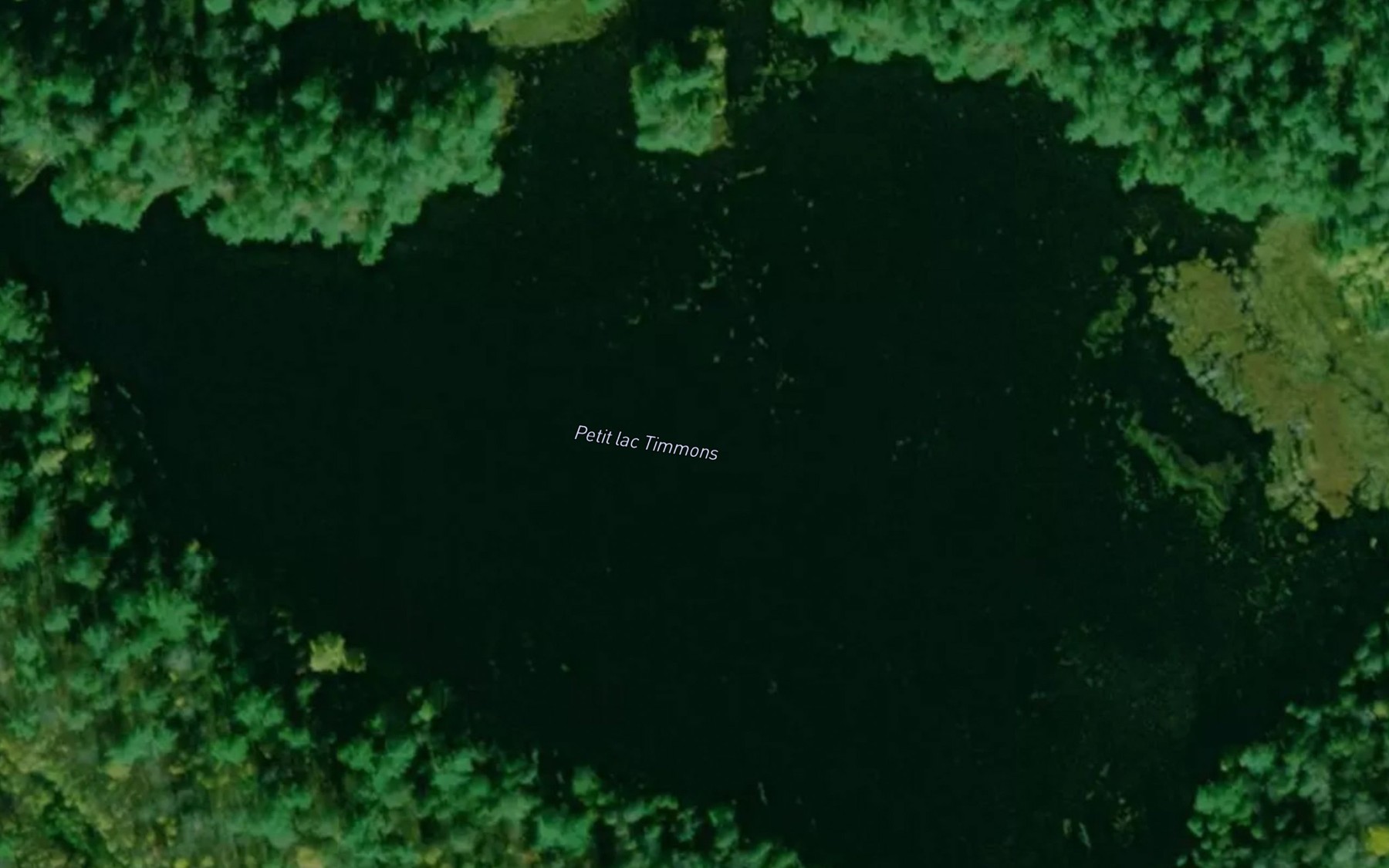 Satellite map of the Petit lac Timmons