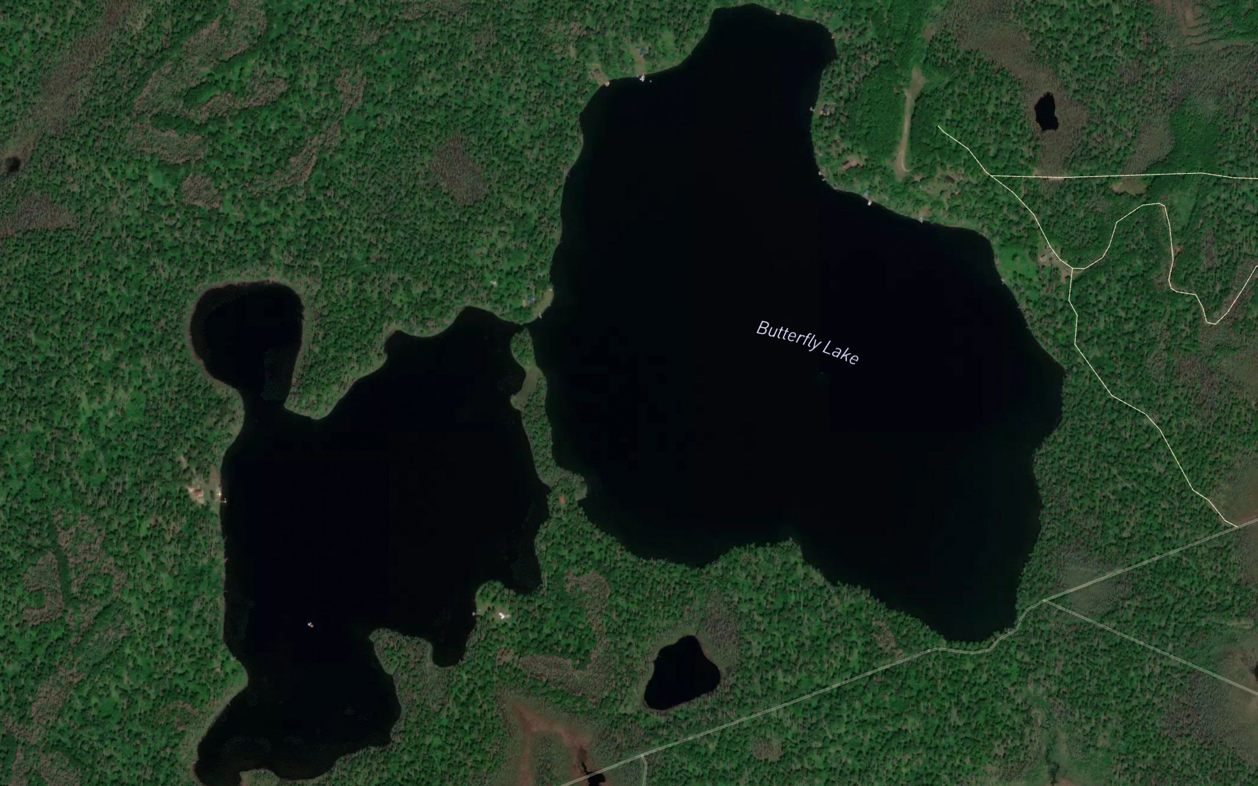 Butterfly Lake