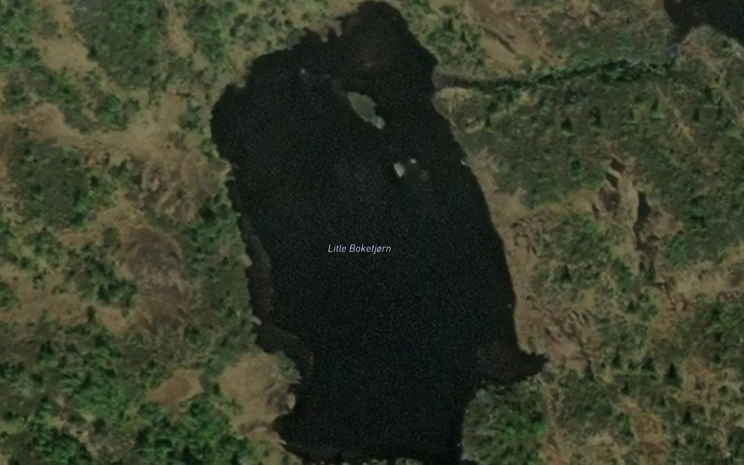 Litle Boketjorn