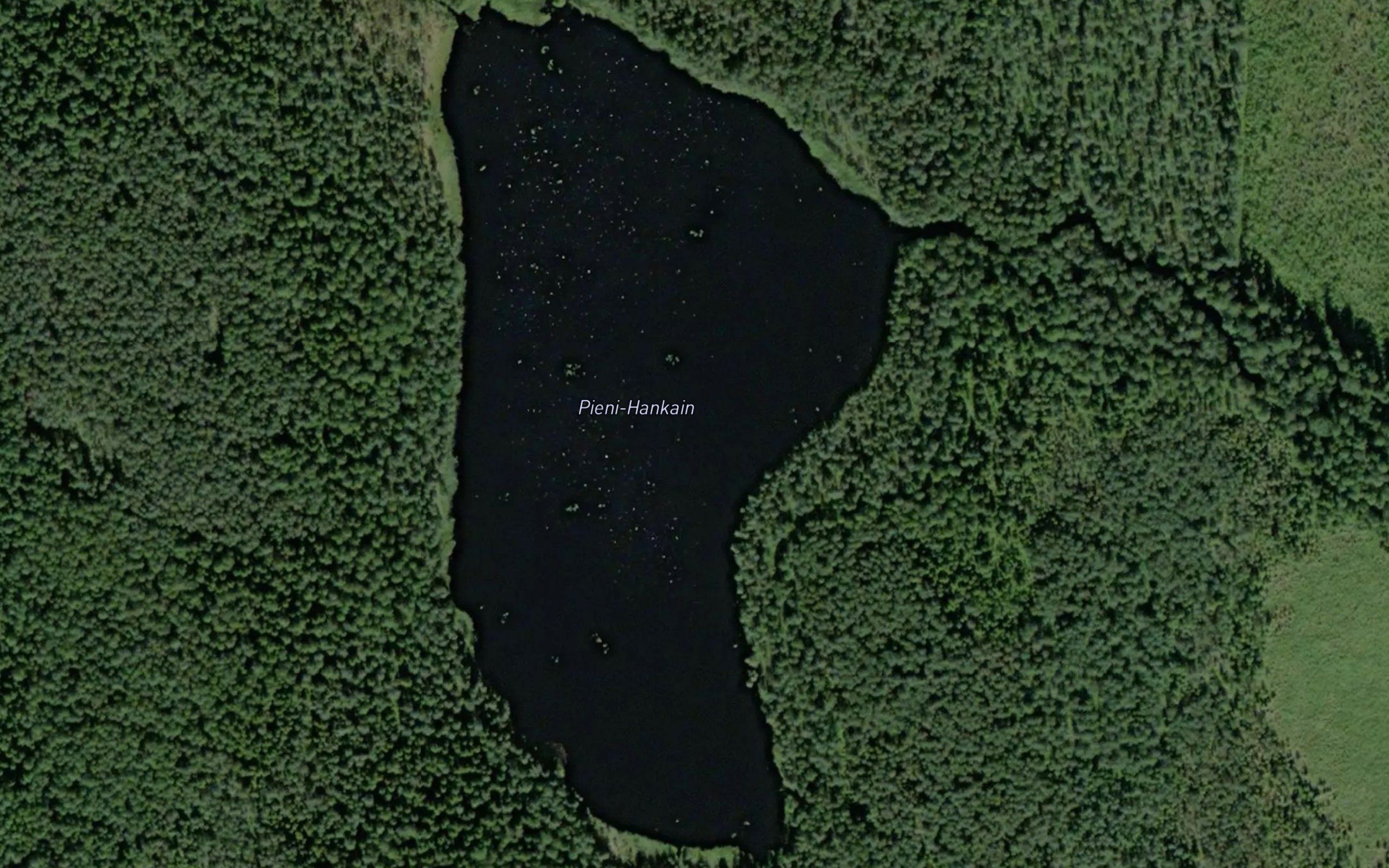 Pieni-Hankain