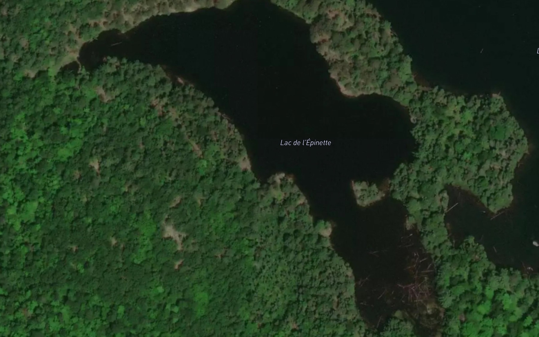 Satellite map of the Lac de l'Epinette