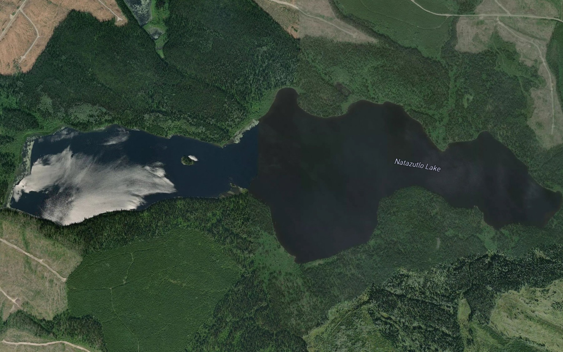 Satellite map of the Natazutlo Lake