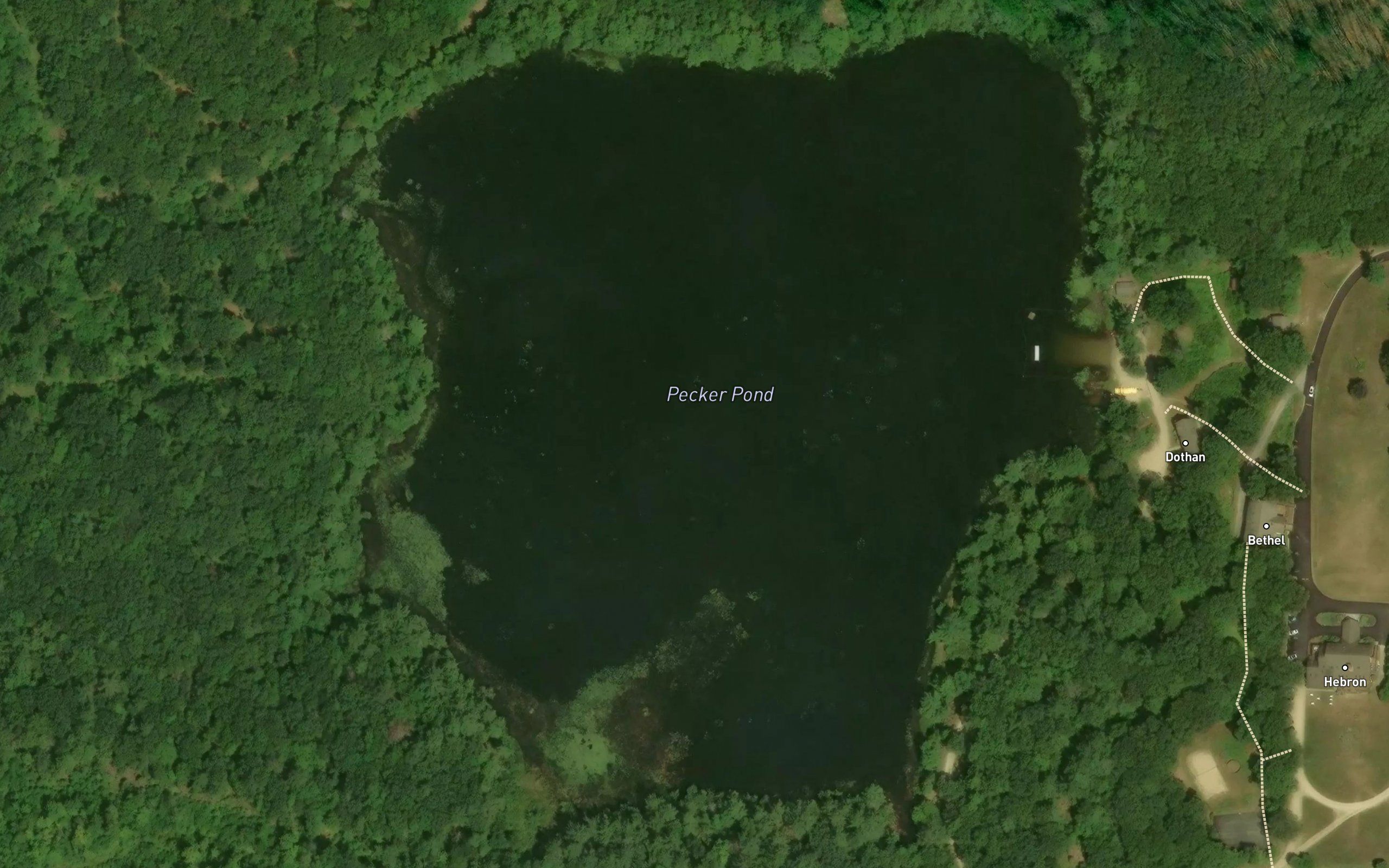 Pecker Pond