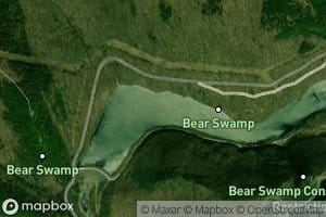 Lower Reservoir Bear Swamp