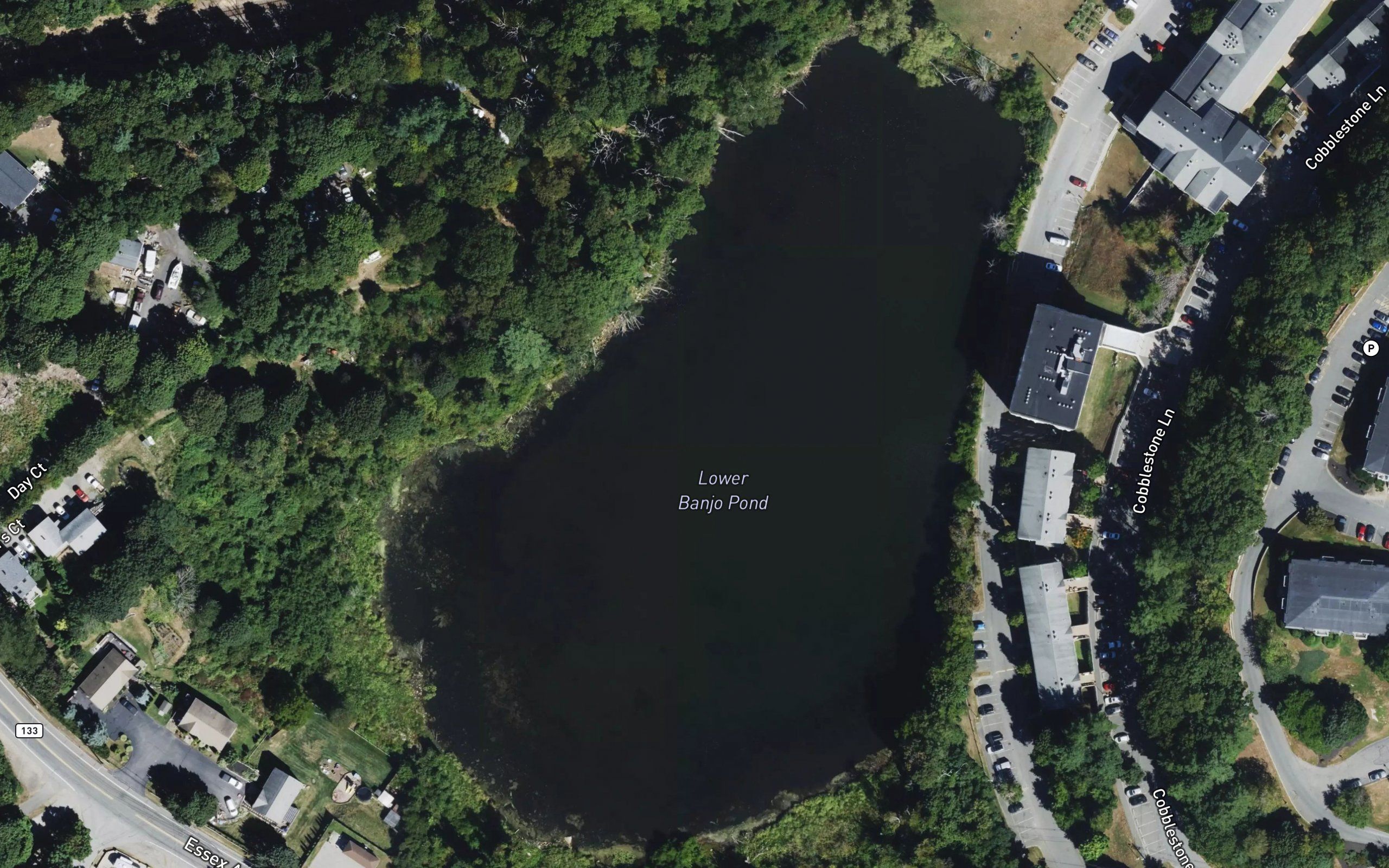 Lower Banjo Pond