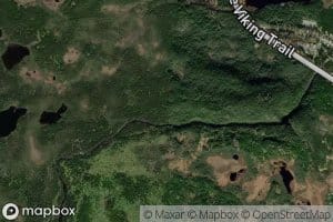 Bartletts Steady Pond