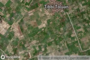 Tolanwali Distributary