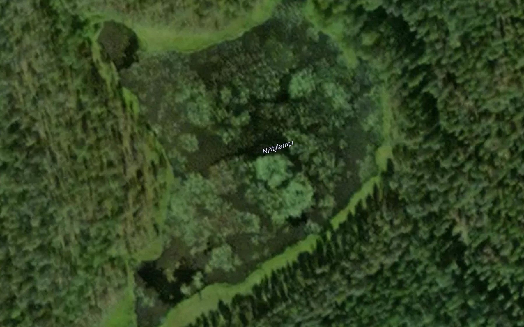 Satellite map of the Niittylampi