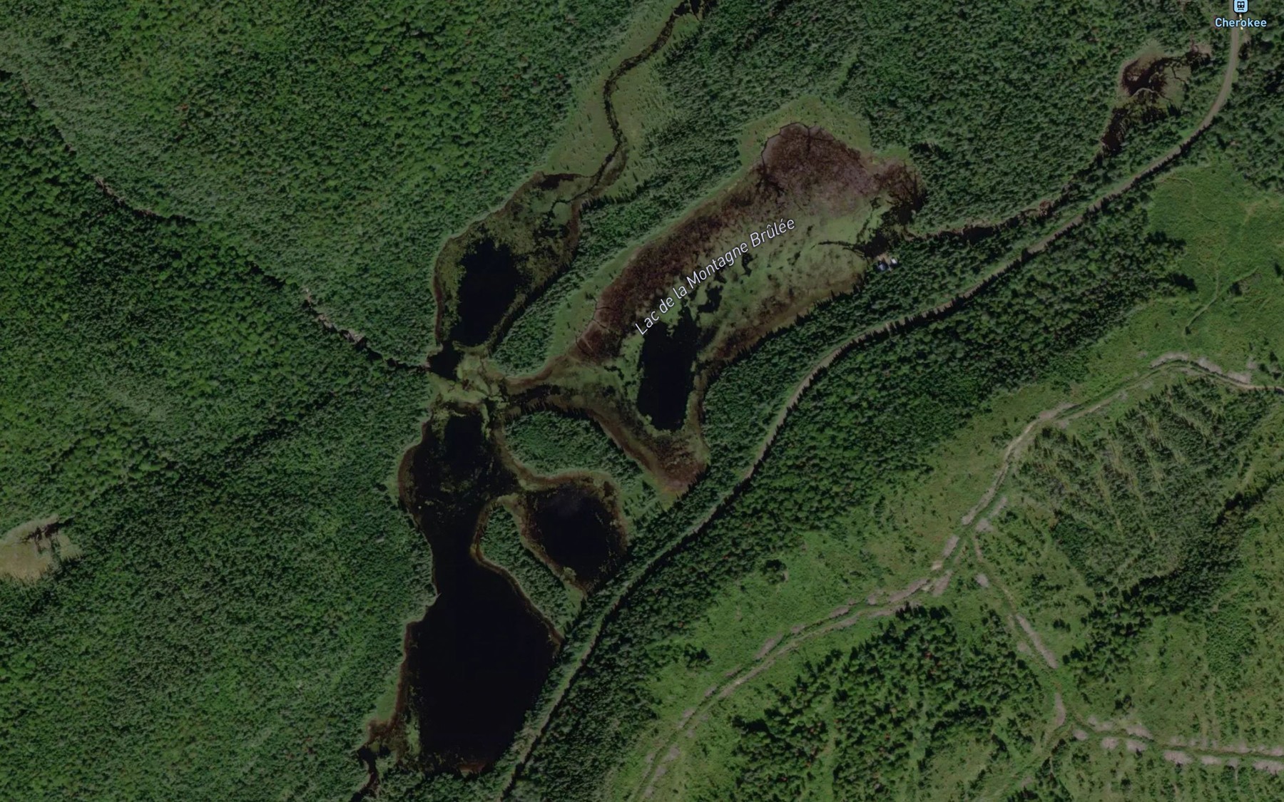Satellite map of the Lac de la Montagne Brulee