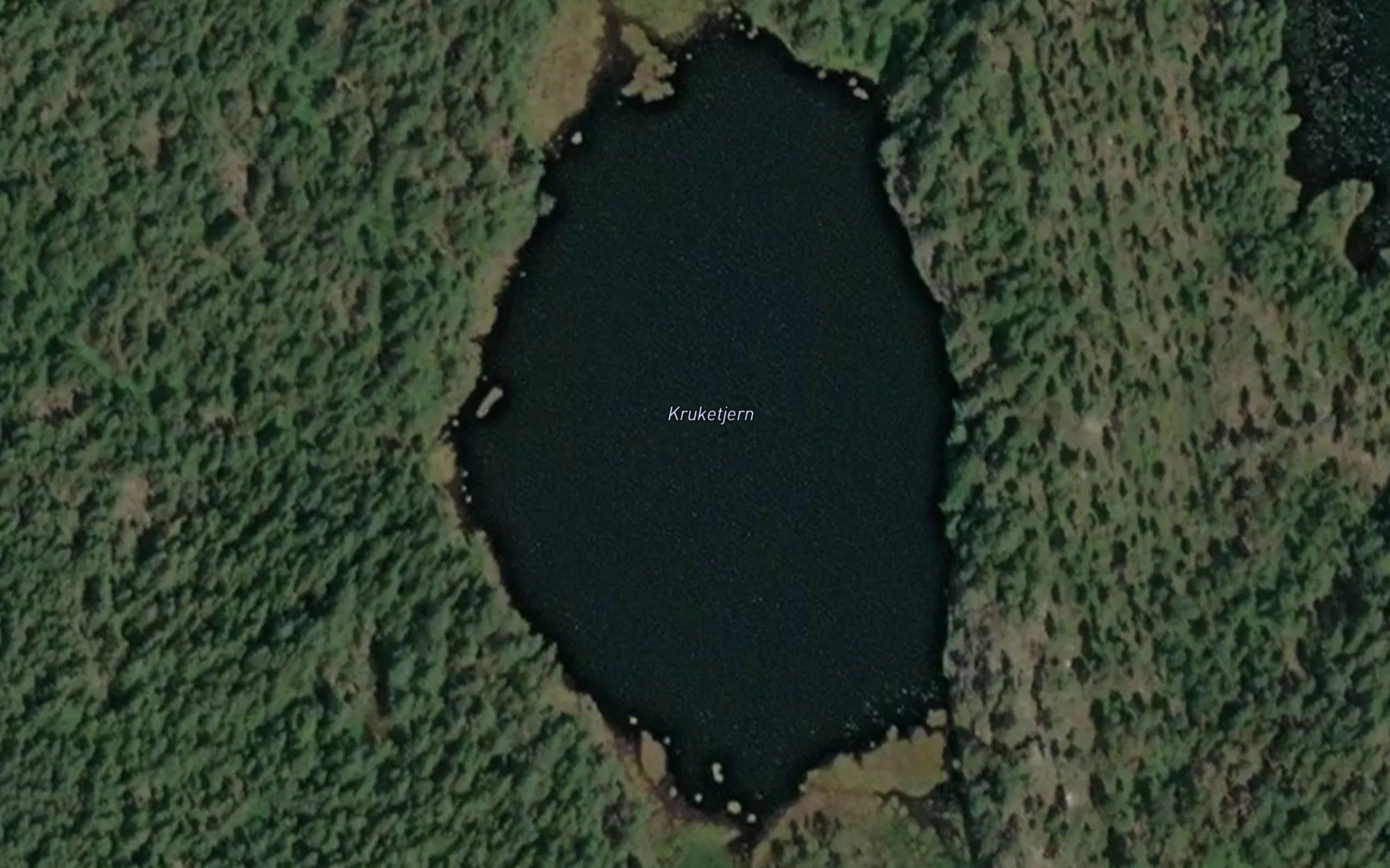 Kruketjern